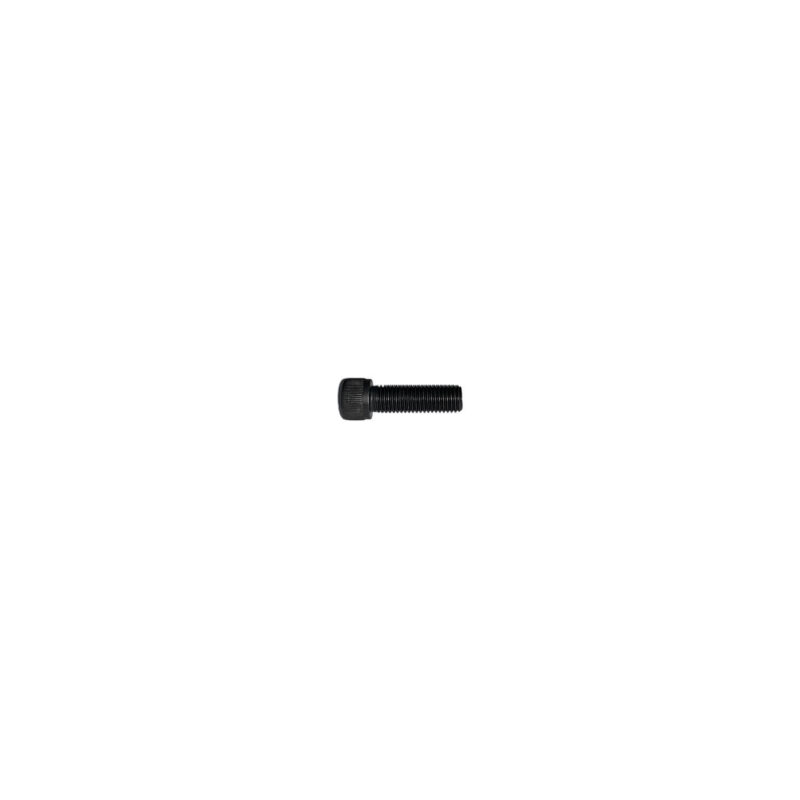 PK17 - SHCS 5/16-24 x 1" (Pack of 10)