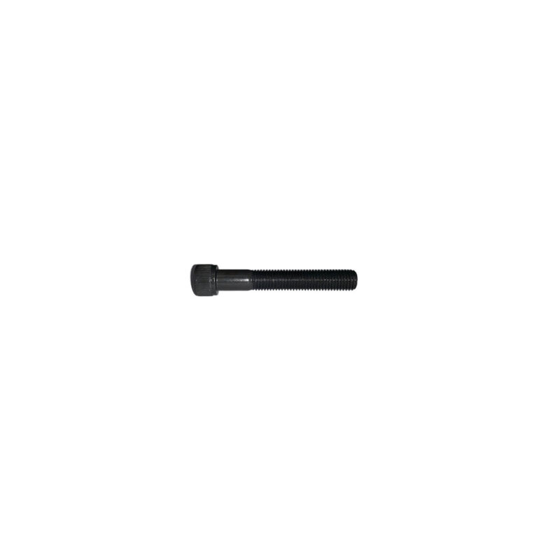 PK16 - SHCS 5/16 - 24 x 2" (Pack of 10)